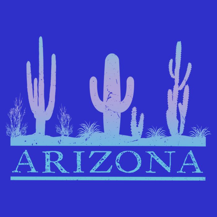 Arizona Cactus Garden Design Az Weathered Souvenir Cute Gift Zip Tote Bag