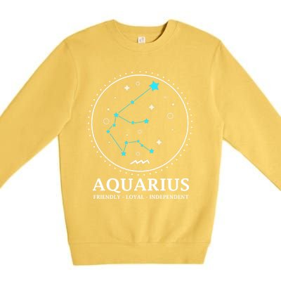 Aquarius Constellation Horoscope Aquarius Symbol Cool Gift Premium Crewneck Sweatshirt