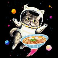 Astronaut Cat In Space With Ramen Noodles Galaxy Cat Women's Perfect Tri Rocker Tank