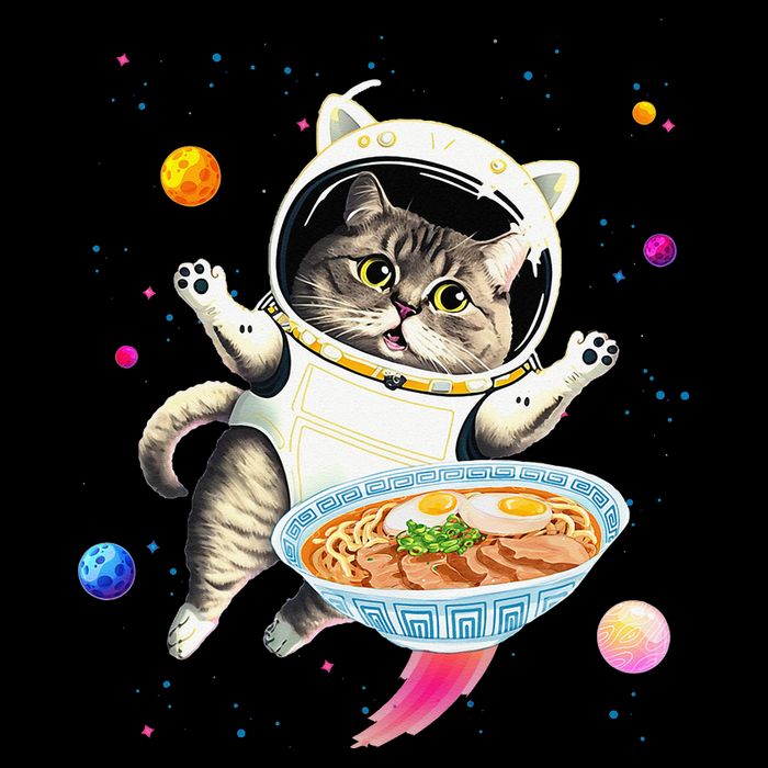Astronaut Cat In Space With Ramen Noodles Galaxy Cat Women's Perfect Tri Rocker Tank
