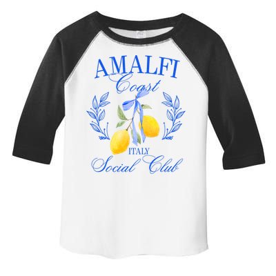 Amalfi Coast Iitaly Social Club Travel Trip Vacation Lemon Toddler Fine Jersey T-Shirt