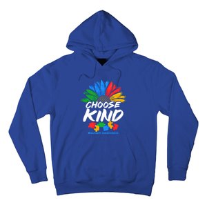 Autismn Choose Kind Autism Awareness Gift Hoodie