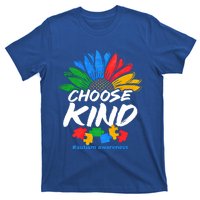 Autismn Choose Kind Autism Awareness Gift T-Shirt