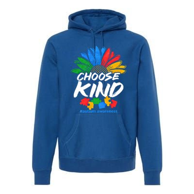 Autismn Choose Kind Autism Awareness Gift Premium Hoodie