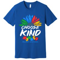 Autismn Choose Kind Autism Awareness Gift Premium T-Shirt