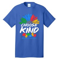 Autismn Choose Kind Autism Awareness Gift Tall T-Shirt