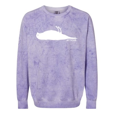 Atticus Crow Logo Colorblast Crewneck Sweatshirt