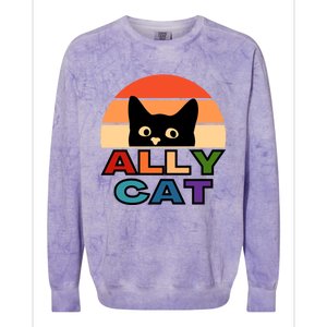 Ally Cat Lgbtqia2s+ Gift Colorblast Crewneck Sweatshirt