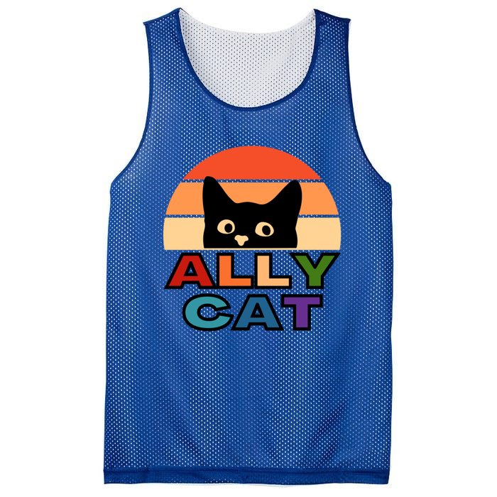 Ally Cat Lgbtqia2s+ Gift Mesh Reversible Basketball Jersey Tank