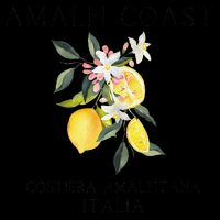 Amalfi Coast Lemons Amalfiana Italy Womens Tank Top