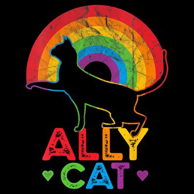 Ally Cat LGBT Pride Ally Cat With Rainbow T-Shirt