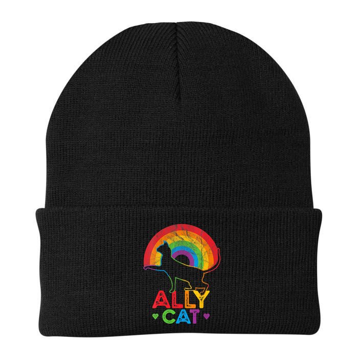 Ally Cat LGBT Pride Ally Cat With Rainbow Beanie