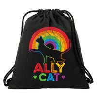 Ally Cat LGBT Pride Ally Cat With Rainbow Drawstring Bag
