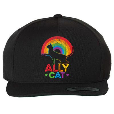 Ally Cat LGBT Pride Ally Cat With Rainbow Wool Snapback Cap