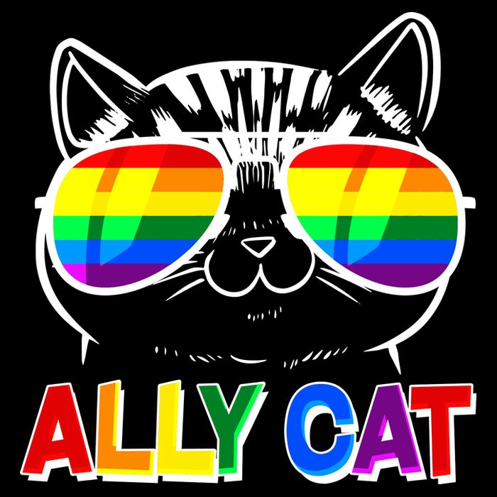 Ally Cat LGBT Pride Drawstring Bag