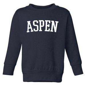 Aspen College Logo Toddler Sweatshirt