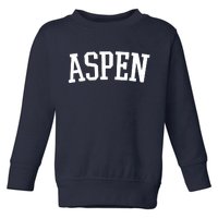 Aspen College Logo Toddler Sweatshirt