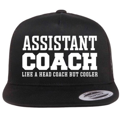 Assistant Coach Like A Head Coach But Cooler Cool Gift Flat Bill Trucker Hat