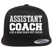 Assistant Coach Like A Head Coach But Cooler Cool Gift Flat Bill Trucker Hat