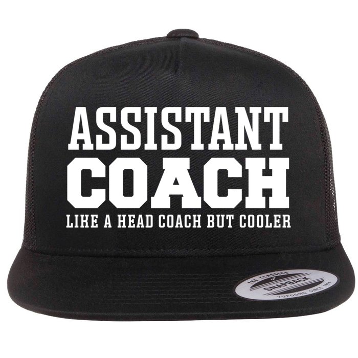 Assistant Coach Like A Head Coach But Cooler Cool Gift Flat Bill Trucker Hat