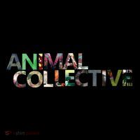 Animal Collective Merchandise Flatbill Hat