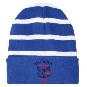 America Cat Memorial Day Design Gift Striped Beanie with Solid Band