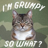 Angry Cat Meme I'm Grumpy So What Legacy Tie Dye Trucker Hat