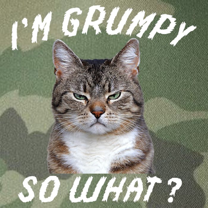 Angry Cat Meme I'm Grumpy So What Legacy Tie Dye Trucker Hat