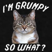 Angry Cat Meme I'm Grumpy So What Ladies PosiCharge Tri-Blend Wicking Tank