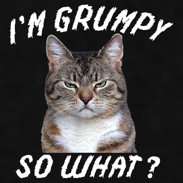 Angry Cat Meme I'm Grumpy So What Ladies PosiCharge Tri-Blend Wicking Tank