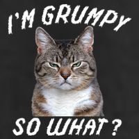 Angry Cat Meme I'm Grumpy So What Cool Comfort Performance Bucket Hat
