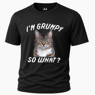 Angry Cat Meme I'm Grumpy So What Performance Shirt