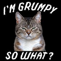 Angry Cat Meme I'm Grumpy So What Sweatshirt