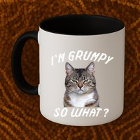 Angry Cat Meme I'm Grumpy So What Mug