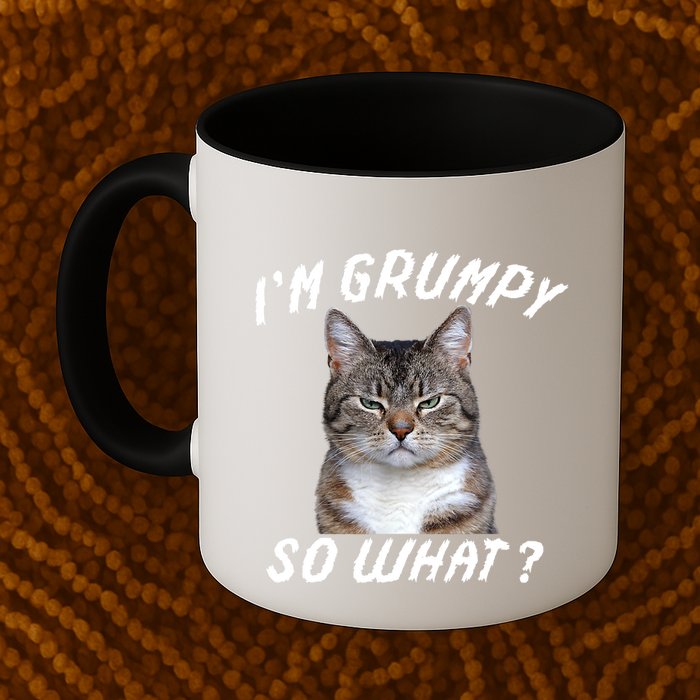Angry Cat Meme I'm Grumpy So What Mug