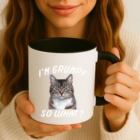 Angry Cat Meme I'm Grumpy So What Mug
