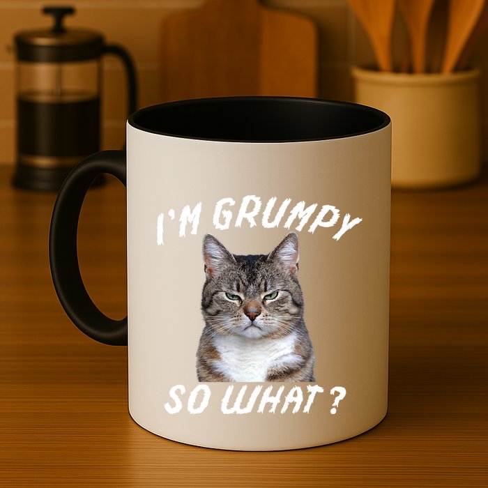 Angry Cat Meme I'm Grumpy So What Mug