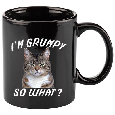 Angry Cat Meme I'm Grumpy So What 11oz C Handle Ceramic Mug