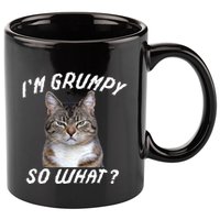 Angry Cat Meme I'm Grumpy So What 11oz C Handle Ceramic Mug