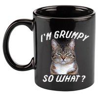 Angry Cat Meme I'm Grumpy So What 11oz C Handle Ceramic Mug