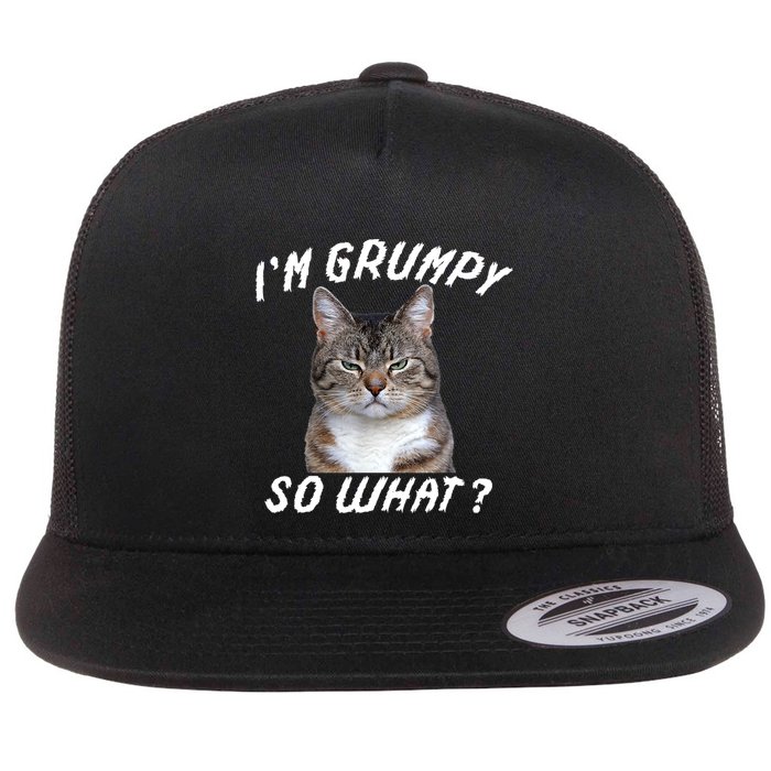 Angry Cat Meme I'm Grumpy So What Flatbill Hat