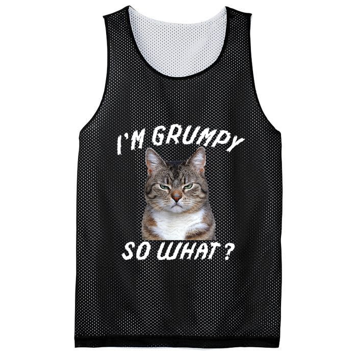 Angry Cat Meme I'm Grumpy So What Mesh Reversible Basketball Jersey Tank