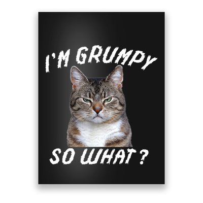 Angry Cat Meme I'm Grumpy So What Poster