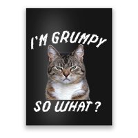 Angry Cat Meme I'm Grumpy So What Poster