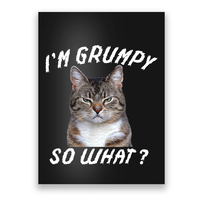 Angry Cat Meme I'm Grumpy So What Poster
