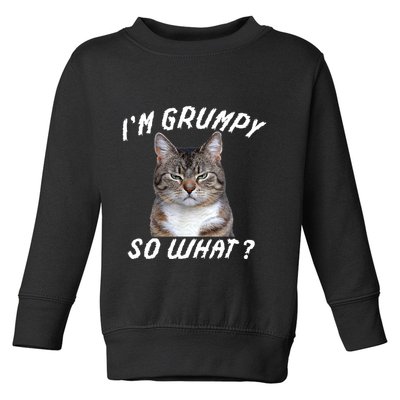 Angry Cat Meme I'm Grumpy So What Toddler Sweatshirt