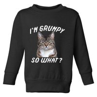 Angry Cat Meme I'm Grumpy So What Toddler Sweatshirt