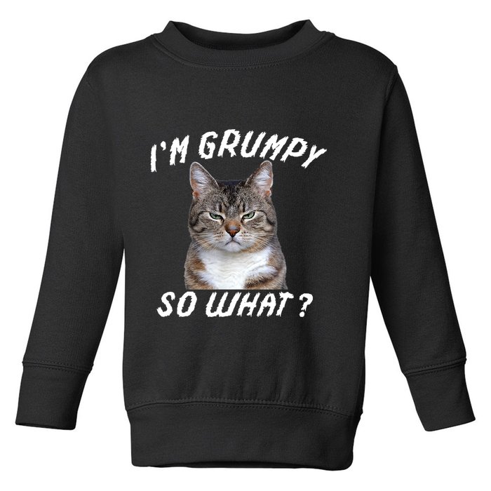 Angry Cat Meme I'm Grumpy So What Toddler Sweatshirt