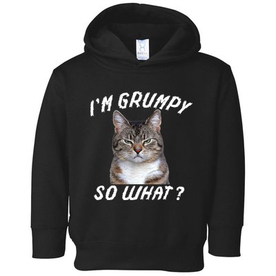 Angry Cat Meme I'm Grumpy So What Toddler Hoodie