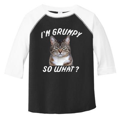 Angry Cat Meme I'm Grumpy So What Toddler Fine Jersey T-Shirt